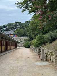 한국의 미를 느낀 하루 🇰🇷