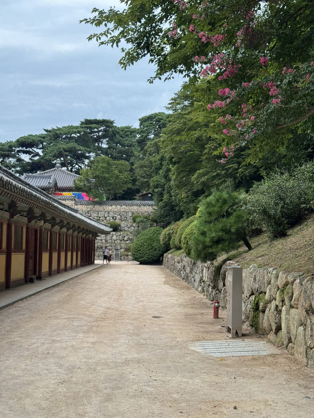 한국의 미를 느낀 하루 🇰🇷
