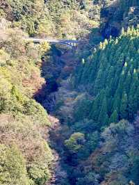 105mの鉄橋から見える壮大な景色 廃線を利用したトロッコ列車