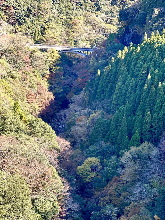 105mの鉄橋から見える壮大な景色 廃線を利用したトロッコ列車