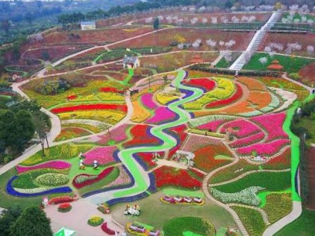 最夢幻花海色彩繽紛旅人必去💕成都漫花莊園