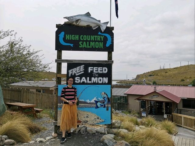 🇳🇿 New Zealand Road Trip - เล่าเรื่องด้วยภาพ#13