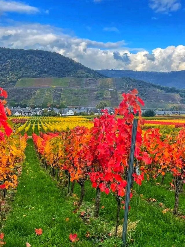 🌸 Cochem – The Fairytale Heart of the Moselle Valley
