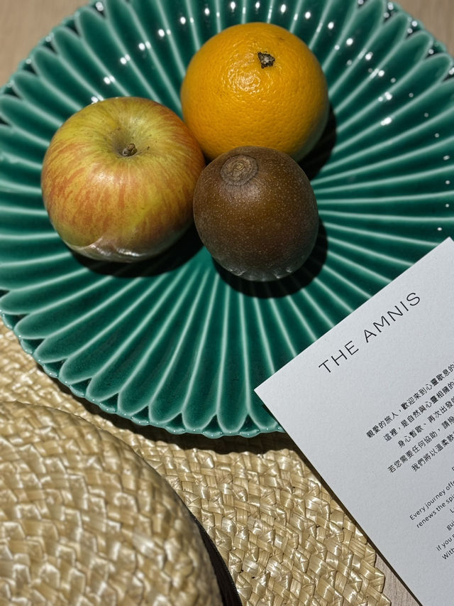 高雄 THE AMNIS 然一酒店｜一次真正進化的住宿體驗
