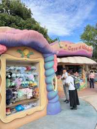 🧜🏻‍♀️ รีวิว Tokyo DisneySea 2025 ✨