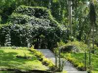 Garden of the Sleeping Giant