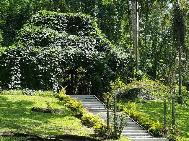 Garden of the Sleeping Giant