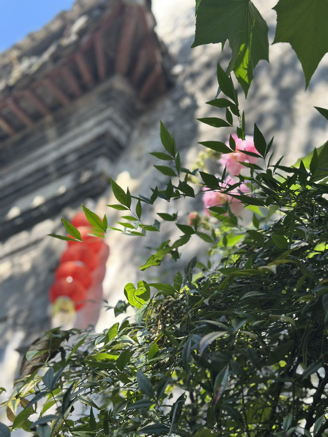 一筆徽墨，兩座古村｜徽州慢時光