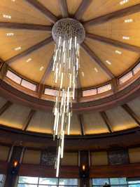 Where to Eat in Universal Studios Beijing? — Hammond’s Restaurant (Jurassic Park Area)