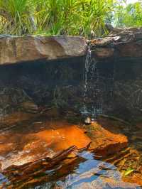 🌿💦 Litchfield National Park – Australia’s Tropical Wonderland