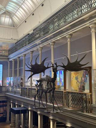 A Day of Discovery at the Australian Museum 🦴🦋