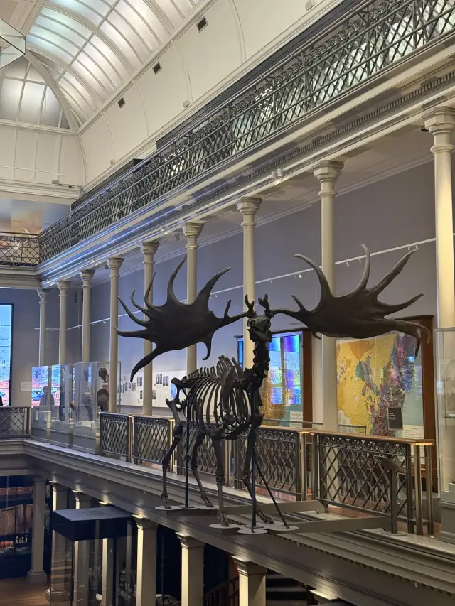 A Day of Discovery at the Australian Museum 🦴🦋