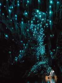 地底に広がる星空の世界へ—ワイトモ洞窟で出会う幻想の光景✨