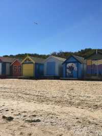 2018年 終於實現了我的承諾～