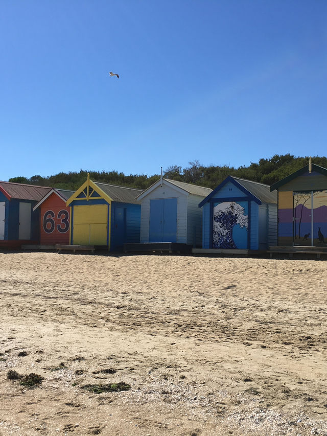 2018年 終於實現了我的承諾～