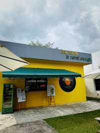 The Park’s Chill Spot!🌳 