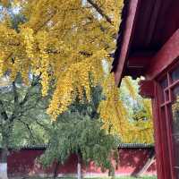 🏔️ Tai’an — The City Guarding the Sacred Mount Tai