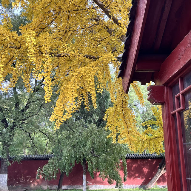🏔️ Tai’an — The City Guarding the Sacred Mount Tai