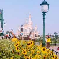 เซี่ยงไฮ้ดิสนีย์แลนด์ @จีน