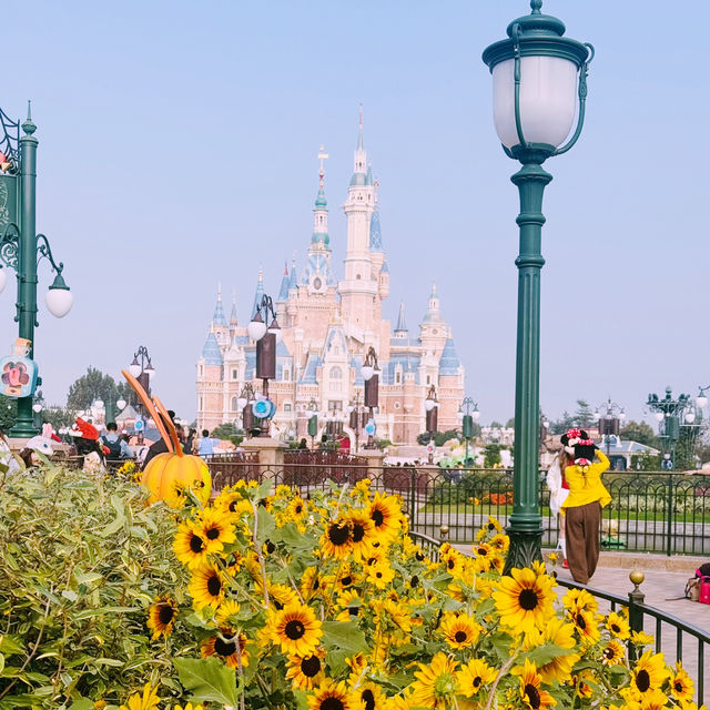 เซี่ยงไฮ้ดิสนีย์แลนด์ @จีน เซี่ยงไฮ้ดิสนีย์แลนด์ @จีน