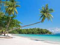 Trikora Beach Vibes🌴Trikora Beach 🏖️