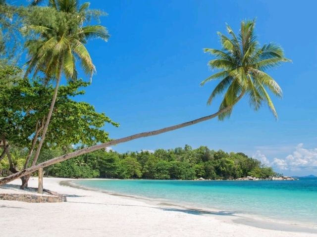 Trikora Beach Vibes🌴Trikora Beach 🏖️