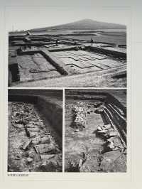 Qin’s Eternal Army✨