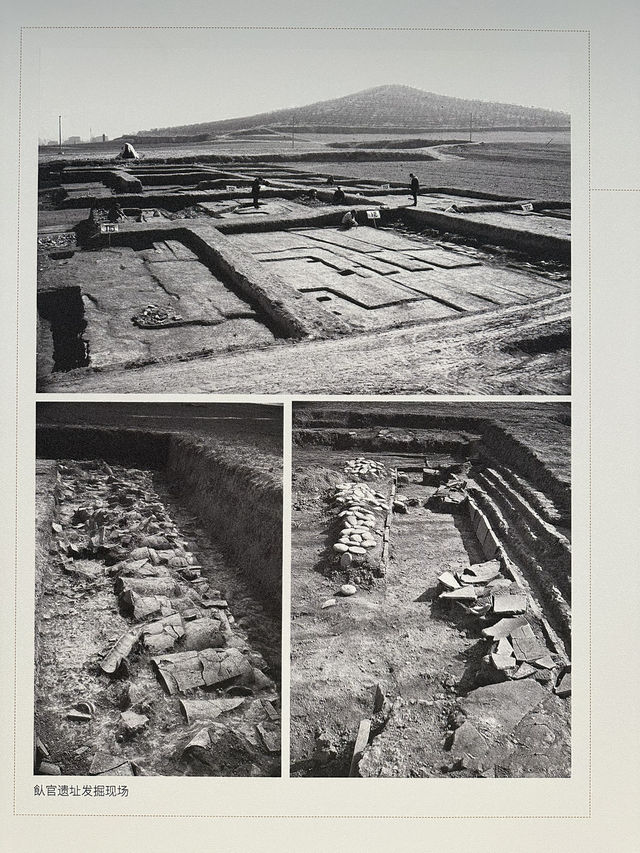 Qin’s Eternal Army✨