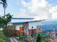 บนดอยม่อนเงาะ