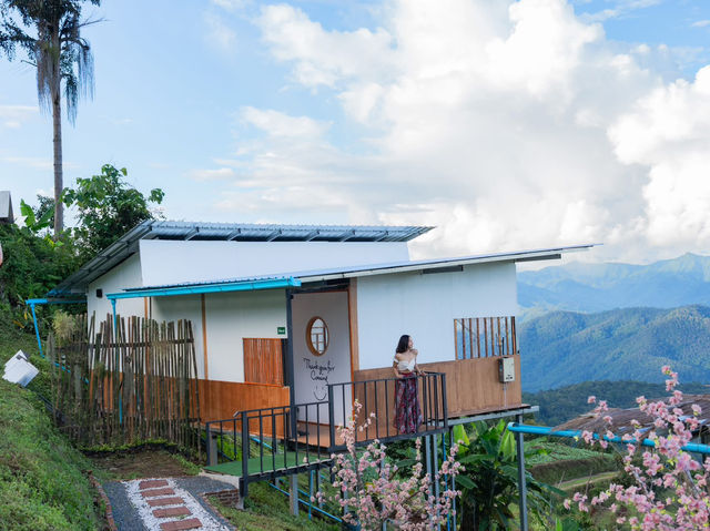 บนดอยม่อนเงาะ บนดอยม่อนเงาะ