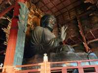 奈良東大寺～穿越千年遇見世界最大木造建築！與鹿共游的佛像奇觀🦌🏯