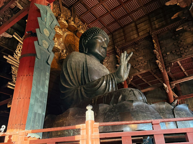 奈良東大寺～穿越千年遇見世界最大木造建築！與鹿共游的佛像奇觀🦌🏯