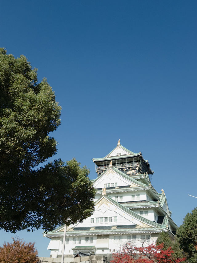 Castle Autumn Vibes🍁