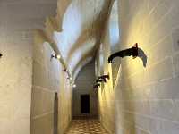 法國 🇫🇷 皮耶楓城堡 Château de Pierrefonds｜電影感滿滿的中世紀要塞