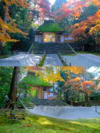 京都法然院紅葉季靜謐之旅🍁