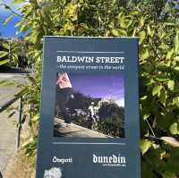 全球最斜街道步行挑戰🥾