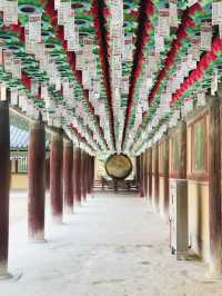 다시 가보고 싶은 경주 필수 코스 불국사