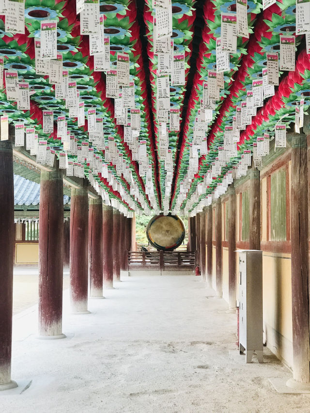 다시 가보고 싶은 경주 필수 코스 불국사 다시 가보고 싶은 경주 필수 코스 불국사