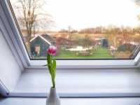 荷蘭景點 阿姆斯特丹 羊角村