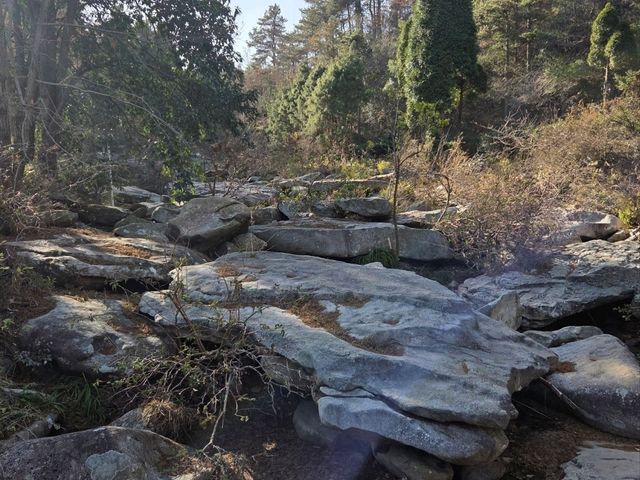 The Majesty of Sandiequan