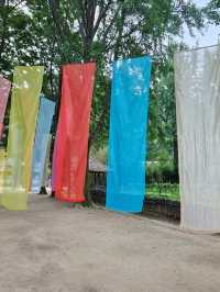 ✨ 한국민속촌 야간개장 전통 한옥 야경 산책코스