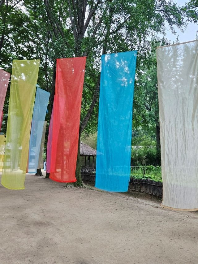 ✨ 한국민속촌 야간개장 전통 한옥 야경 산책코스