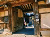 韓國🇰🇷慶州校村