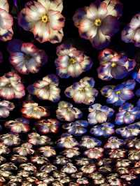 🇨🇳선양 사진찍기 좋은 야경명소 라오베이시