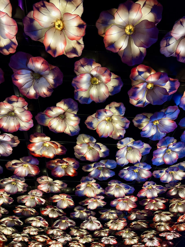 🇨🇳선양 사진찍기 좋은 야경명소 라오베이시 🇨🇳선양 사진찍기 좋은 야경명소 라오베이시