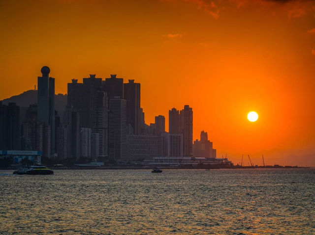 A Canopy of Constellations Stitched into Twilight A Canopy of Constellations Stitched into Twilight