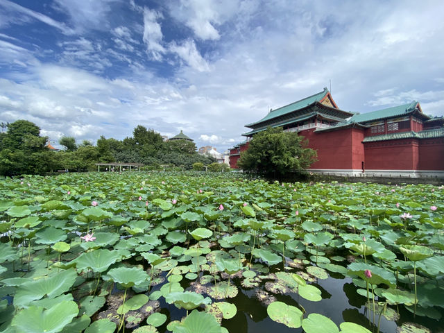 台北市內一塊人間淨土，在市中心享受大自然的懷抱