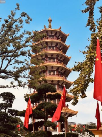 วิวจากหอคอย🌿