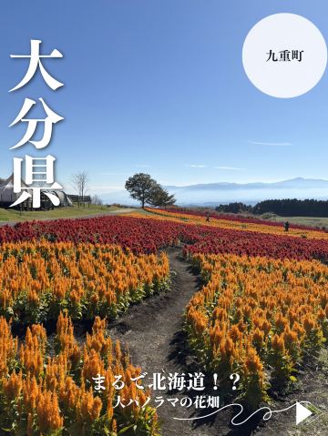 大分県・九重町】九州でも北海道のような花畑景色が見れる！ | Trip