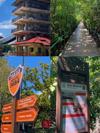 ภูมิทัศน์ชายฝั่งอันเงียบสงบของพื้นที่ชุ่มน้ำ Setiu ประเทศมาเลเซีย